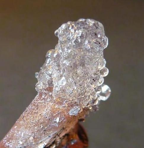 Topacio, Ópalo (variedad hialita)<br />Tepetate, Municipio Villa de Arriaga, San Luis Potosí, México<br />3,5 x 3 cm.<br /> (Autor: javier ruiz martin)