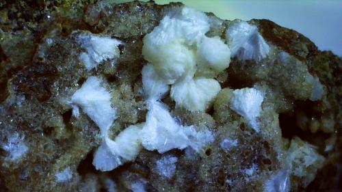 Gonnardite<br />Moiliili Quarry, Honolulu, Oahu, Hawaii, USA<br />1,5 x 1,2 cm<br /> (Author: Volkmar Stingl)