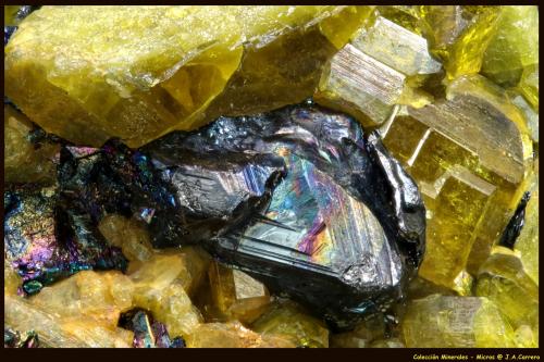 Magnetita<br />Marki Khel, Spin Ghar Mountains, Khogyani District, Nangarhar Province, Afghanistan<br />FoV: 4 x 3 mm<br /> (Autor: Jose Angel Carrero)