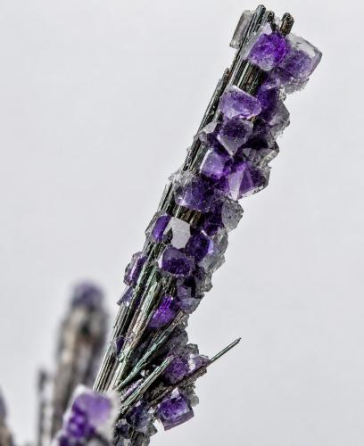 Cosalite with Fluorite<br />Mina Solnechnoye, distrito minero Kara-Oba, Desierto Betpak-Dala (Bet-Pak-Dala), Región Karaganda, Kazajstán<br />main crystal of Cosalite: 4.1 × 0.7 cm<br /> (Author: Jordi Fabre)