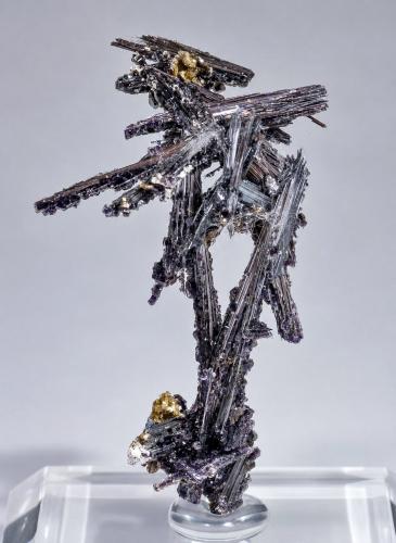 Cosalite with Fluorite<br />Mina Solnechnoye, distrito minero Kara-Oba, Desierto Betpak-Dala (Bet-Pak-Dala), Región Karaganda, Kazajstán<br />Specimen size: 4.1 × 2.4 × 2.3 cm / main crystal of Cosalite: 4.1 × 0.7 cm<br /> (Author: Jordi Fabre)