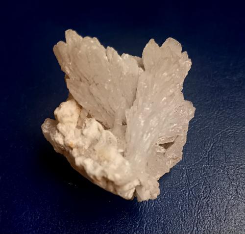 Celestine<br />Lercara Friddi, Provincia Ciudad Metropolitana de Palermo, Sicilia, Italia<br />4x3 cm<br /> (Author: mineralenzo)