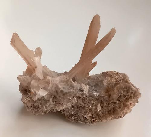 Gypsum<br />Lercara Friddi, Metropolitan City of Palermo Province, Sicily, Italy<br />6x4.5x4 cm (xx 0.3/0.5x4 cm max)<br /> (Author: mineralenzo)