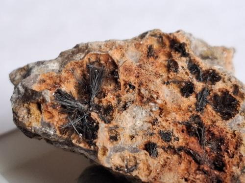 Pyrolusite<br />Monte Unturzu, Ittiri, Sassari Province, Sardinia, Italy<br />FoV ca. 3 x 2,5 cm<br /> (Author: Volkmar Stingl)