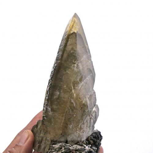 Calcite<br />Sweetwater Mine, Ellington, Viburnum Trend District, Reynolds County, Missouri, USA<br />Specimen size 18,5 cm, calcite crystal 16,5 cm<br /> (Author: Tobi)
