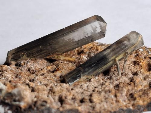 Gypsum<br />Rosignano Marittimo, Livorno Province, Tuscany, Italy<br />7 x 5 cm<br /> (Author: Volkmar Stingl)