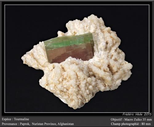 Elbaite (Tourmaline Group)<br />Paprok, Distrito Kamdesh, Provincia Nuristan, Afganistán<br />fov 80 mm<br /> (Author: ploum)