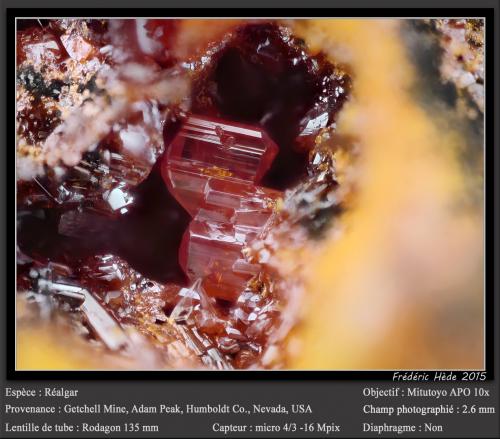Realgar<br />Mina Getchell, Pico Adam, Distrito Potosi, Montes Osgood, Condado Humboldt, Nevada, USA<br />fov 2.6 mm<br /> (Author: ploum)