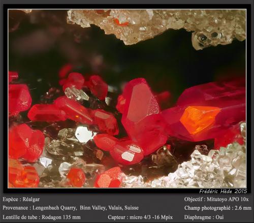 Realgar<br />Cantera Lengenbach, Fäld, Valle Binn (Binntal), Wallis (Valais), Suiza<br />fov 2.6 mm<br /> (Author: ploum)