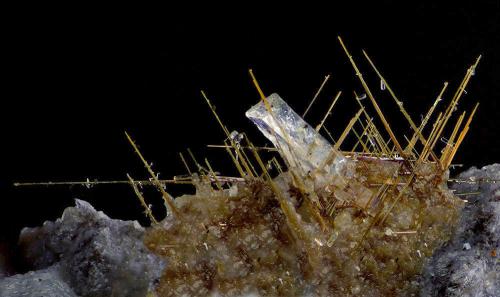 Rutile (variety sagenite)<br />Cantera Lohning (Cantera Lohninger), Valle Hüttwinkl, Valle Rauris, Distrito Zell am See, Hohe Tauern, Salzburgo/Salzburg, Austria<br />FOV 3,8 mm<br /> (Author: Gerhard Brandstetter)