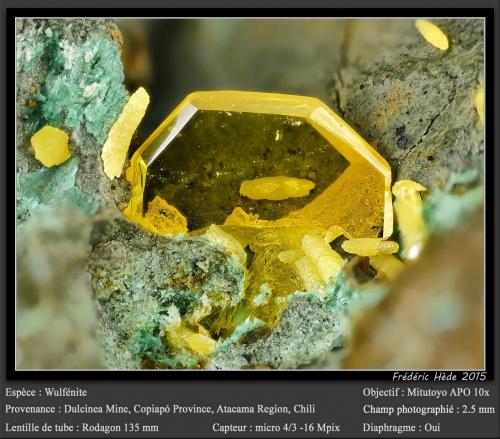 Wulfenite<br />Mina Dulcinea de Llampos, Cachiyuyo de Llampos, Provincia Copiapó, Región Atacama, Chile<br />fov 2.6 mm<br /> (Author: ploum)