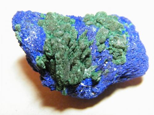 Malachite/Azurite<br />Tsumeb Mine, Tsumeb, Otjikoto Region, Namibia<br />40x30x20mm<br /> (Author: Heimo Hellwig)