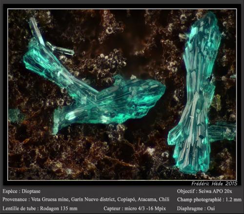 Dioptase<br />Veta Gruesa Mine, Garín Nuevo District, Copiapó Province, Atacama Region, Chile<br />fov 1.2 mm<br /> (Author: ploum)