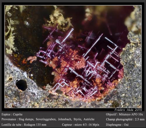 Cuprite<br />Slag dumps, Severinggraben, Johnsbach, Ennstaler Alpen, Styria/Steiermark, Austria<br />fov 2.5 mm<br /> (Author: ploum)