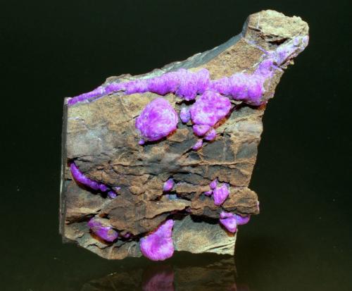 Sugilite<br />Mina N'Chwaning III, Zona minera N'Chwaning, Kuruman, Kalahari manganese field (KMF), Provincia Septentrional del Cabo, Sudáfrica<br />7.8 x 5.2 cm<br /> (Author: Don Lum)