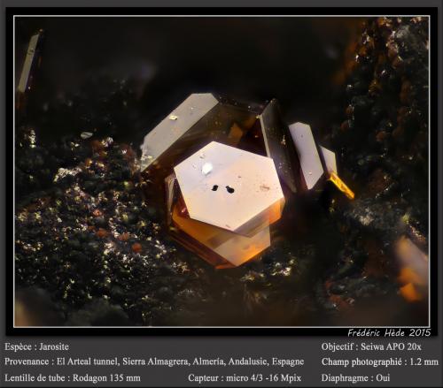 Jarosite<br />Socavón Santa Bárbara (El Arteal Tunnel), Almagrera Range, Cuevas del Almanzora, Comarca Levante Almeriense, Almería, Andalusia, Spain<br />fov 1.2 mm<br /> (Author: ploum)