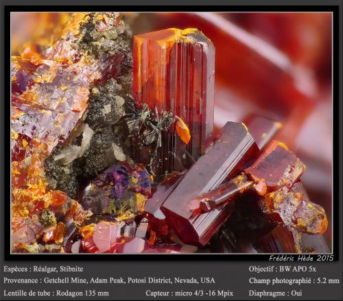 Realgar and Stibnite<br />Mina Getchell, Pico Adam, Distrito Potosi, Montes Osgood, Condado Humboldt, Nevada, USA<br />fov 5.2 mm<br /> (Author: ploum)