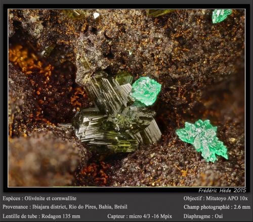 Olivenite and Cornwallite<br />Distrito Ibiajara, Rio do Pires, Bahia, Región Nordeste, Brasil<br />fov 2.6 mm<br /> (Author: ploum)