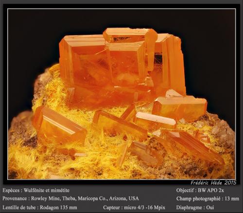 Wulfenite and Mimetite<br />Mina Rowley, Theba, Distrito Painted Rock, Montes Painted Rock, Condado Maricopa, Arizona, USA<br />fov 13 mm<br /> (Author: ploum)