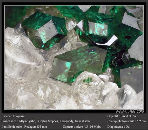 Dioptase<br />Depósito Altyn-Tyube, Zona Altyn-Tyube, Estepas Kirguises, Región Karaganda, Kazajstán<br />fov 5.2 mm<br /> (Author: ploum)