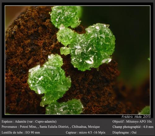 Adamite (variety cuprian adamite)<br />Potosí Mine, Santo Domingo (Francisco Portillo), Santa Eulalia District, Municipio Aquiles Serdán, Chihuahua, Mexico<br />fov 4 mm<br /> (Author: ploum)