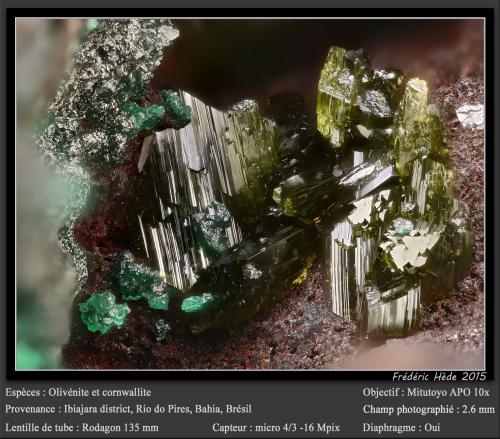 Olivenite and Cornwallite<br />Ibiajara District, Rio do Pires, Bahia, Northeast Region, Brazil<br />fov 2.6 mm<br /> (Author: ploum)