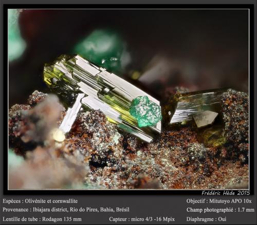 Olivenite and Cornwallite<br />Distrito Ibiajara, Rio do Pires, Bahia, Región Nordeste, Brasil<br />fov 2.6 mm<br /> (Author: ploum)