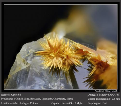 Karibibite<br />Oumlil Mine, Oumlil, Bou Azzer mining district, Zagora Province, Drâa-Tafilalet Region, Morocco<br />fov 2.6 mm<br /> (Author: ploum)