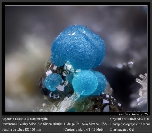 Rosasite and Hemimorphite<br />Mina Vesley, Granite Gap, Distrito San Simon, Condado Hidalgo, New Mexico, USA<br />fov 2.0 mm<br /> (Author: ploum)