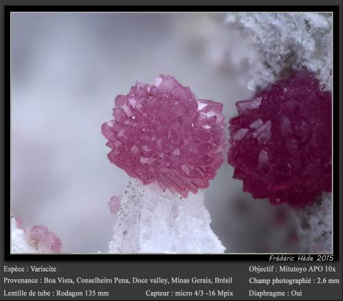 Variscite<br />Boa Vista (Eduardo) Mine, Conselheiro Pena, Vale do Rio Doce, Minas Gerais, Brazil<br />fov 2.6 mm<br /> (Author: ploum)