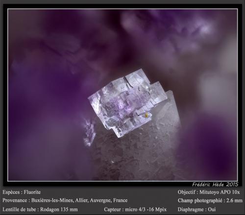 Fluorite<br />Buxières-les-Mines, Moulins, Allier, Auvergne-Rhône-Alpes, France<br />fov 2.6 mm<br /> (Author: ploum)