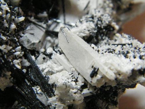 Schorl and Quartz<br />Erongo Mountain, Usakos, Erongo Region, Namibia<br />250x190x100mm<br /> (Author: Heimo Hellwig)