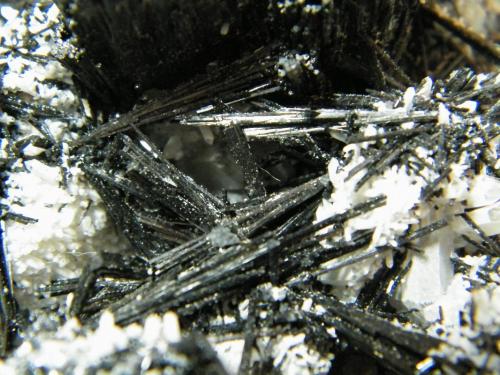 Schorl and Quartz<br />Monte Erongo, Usakos, Región Erongo, Namibia<br />250x190x100mm<br /> (Author: Heimo Hellwig)