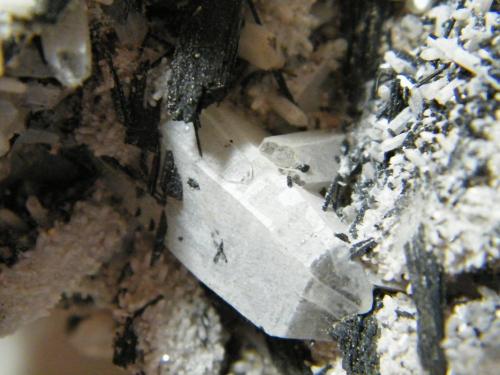 Schorl and Quartz<br />Monte Erongo, Usakos, Región Erongo, Namibia<br />250x190x100mm<br /> (Author: Heimo Hellwig)