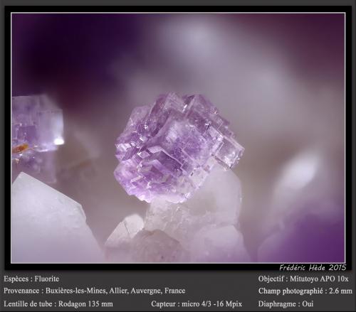 Fluorite<br />Buxières-les-Mines, Moulins, Allier, Auvergne-Rhône-Alpes, France<br />fov 2.6 mm<br /> (Author: ploum)