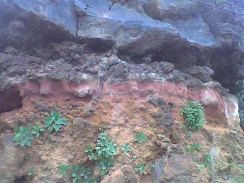 Roca rubefacta.<br />La Palma, Provincia de Santa Cruz de Tenerife, Canarias, España<br /><br /> (Autor: canada)