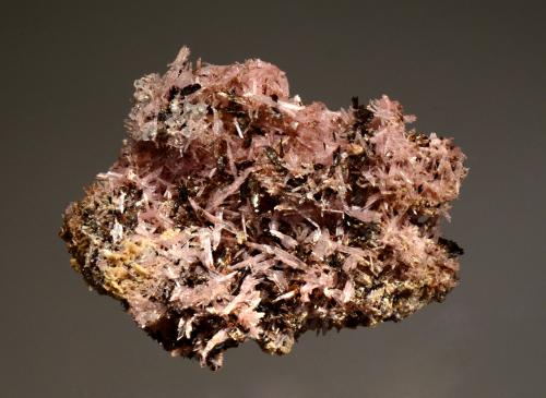 Inesite<br />Fengjiashan Mine, Edong, Daye, Huangshi Prefecture, Hubei Province, China<br />5.5 x 7.5 cm<br /> (Author: crosstimber)