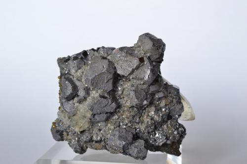 Calcita, Galena<br />Mina Sweetwater, Ellington, Distrito Viburnum Trend, Condado Reynolds, Missouri, USA<br />4,5 x 4 x 2,5 cm<br /> (Autor: Raúl S. Llorente)