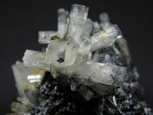 Beryl (variety goshenite), Schorl<br />Monte Erongo, Usakos, Región Erongo, Namibia<br />70x70x60mm<br /> (Author: Heimo Hellwig)