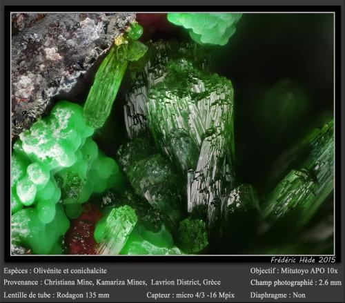 Olivenite<br />Mina Christiana, Minas Kamariza, Agios Konstantinos, Distrito minero Lavrion, Prefectura Attikí (Attica), Grecia<br />fov 2.6 mm<br /> (Author: ploum)