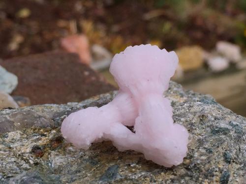 Calcite (variety manganoan) on Kutnohorite<br />N'Chwaning III Mine, N'Chwaning mining area, Kuruman, Kalahari manganese field (KMF), Northern Cape Province, South Africa<br />2.5cm X 2.3cm x 1.3cm<br /> (Author: steven calamuci)