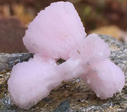 Calcite (variety manganoan) on Kutnohorite<br />N'Chwaning I Mine, N'Chwaning mining area, Kuruman, Kalahari manganese field (KMF), Northern Cape Province, South Africa<br />2.5cm X 2.3cm x 1.3cm<br /> (Author: steven calamuci)