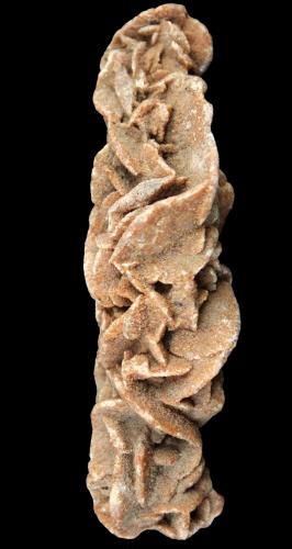 Yeso (variedad rosa del desierto)<br />El Golea, El Ménia, Provincia Ghardaïa, Argelia<br />108x31x31mm.<br /> (Autor: José Luis Zamora)