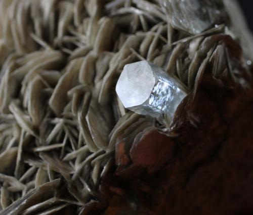 Moscovita y Berilo (variedad aguamarina)<br />Shigar Valley, Shigar District, Gilgit-Baltistan (Northern Areas), Pakistan<br />10 x 9 x 3.7 centimetros<br /> (Autor: Ricardo Melendez)