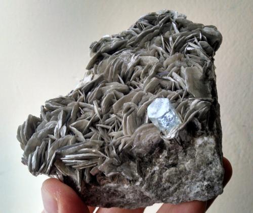 Moscovita y Berilo (variedad aguamarina)<br />Shigar Valley, Shigar District, Gilgit-Baltistan (Northern Areas), Pakistan<br />10 x 9 x 3.7 centimetros<br /> (Autor: Ricardo Melendez)