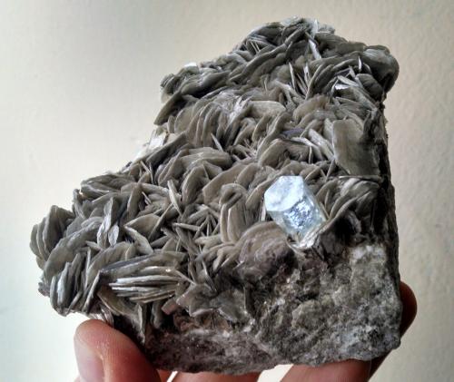 Moscovita y Berilo (variedad aguamarina)<br />Valle Shigar, Distrito Shigar, Gilgit-Baltistan (Áreas del Norte), Paquistán<br />10 x 9 x 3.7 centimetros<br /> (Autor: Ricardo Melendez)