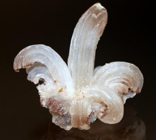 Gypsum<br />Santa Eulalia District, Municipio Aquiles Serdán, Chihuahua, Mexico<br />7.0 x 6.5 x 4.5 cm<br /> (Author: Don Lum)