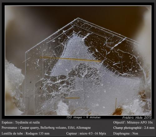 Tridymite and Rutile<br />Caspar Quarry, Bellerberg volcano, Ettringen, Mayen, Eifel, Rhineland-Palatinate/Rheinland-Pfalz, Germany<br />fov 2.6 mm<br /> (Author: ploum)