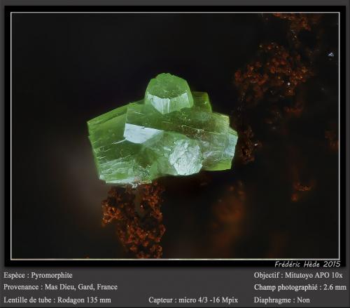 Pyromorphite<br />Mas Dieu, Mercoirol, Alès, Gard, Occitanie, France<br />fov 2.6 mm<br /> (Author: ploum)