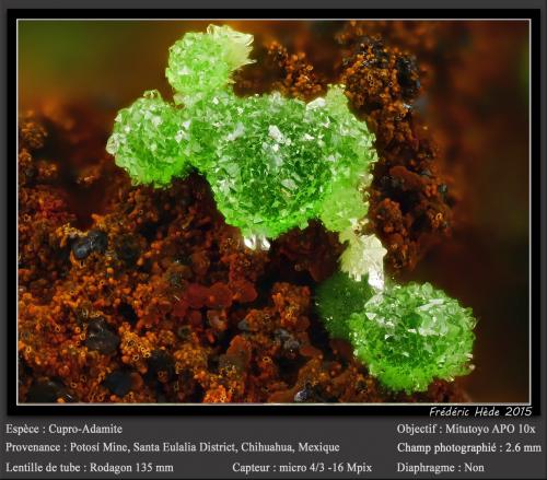 Adamite (variety cuprian adamite)<br />Potosí Mine, Santo Domingo (Francisco Portillo), Santa Eulalia District, Municipio Aquiles Serdán, Chihuahua, Mexico<br />fov 2.6 mm<br /> (Author: ploum)